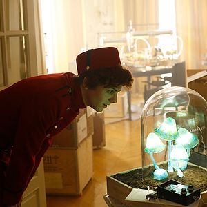 Fotoğraf Thomas Solivérès