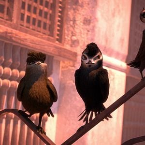 Fotoğraf Hızlı ve Tüylü