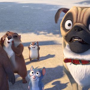 Fotoğraf Fındık İşi 2