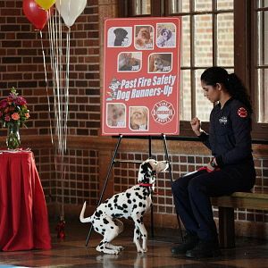 Fotoğraf Miranda Rae Mayo