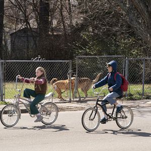 Fotoğraf True Detective