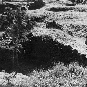 Fotoğraf Einitréð