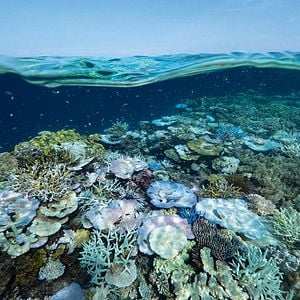 Fotoğraf Gezegenimiz