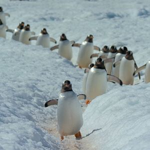 Fotoğraf Gezegenimiz