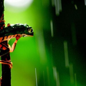 Fotoğraf Gezegenimiz