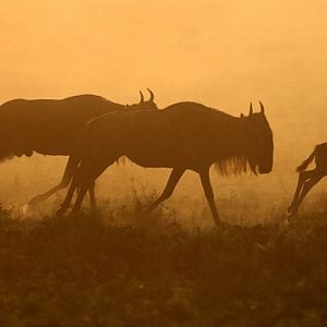 Fotoğraf Gezegenimiz