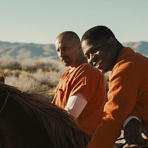 Fotoğraf The Mustang