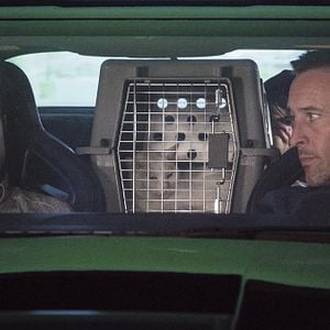 Fotoğraf Alex O'Loughlin