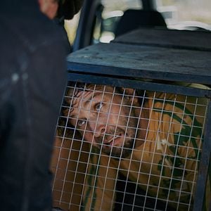 Fotoğraf Armomurhaaja