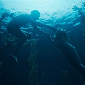 Fotoğraf Koirat eivät käytä housuja