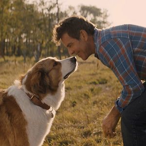 Fotoğraf Dennis Quaid