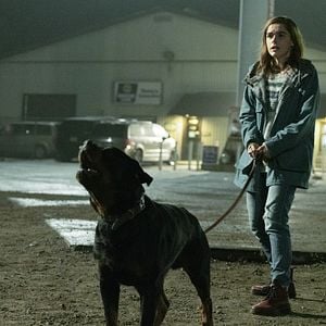 Fotoğraf The Silence