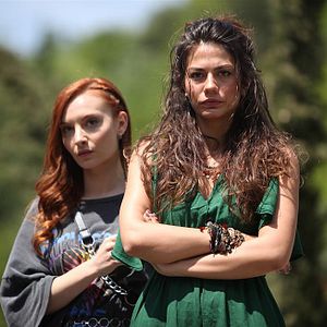 Fotoğraf Erkenci Kuş