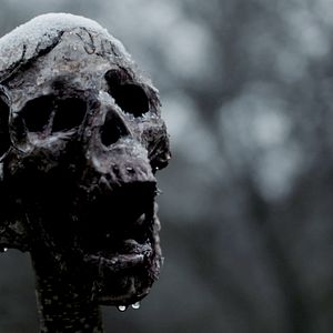 Fotoğraf The Head Hunter