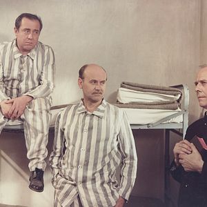 Fotoğraf A Tanú (The Witness)