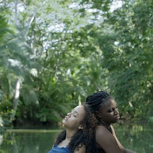 Fotoğraf Ceniza Negra