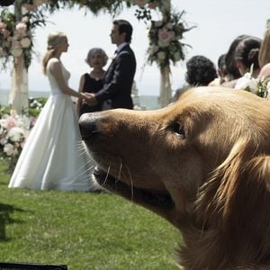 Fotoğraf Enzo: Yağmurda Yarış Sanatı