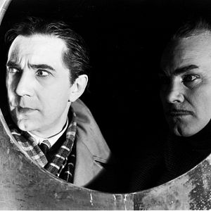 Fotoğraf The Black Cat