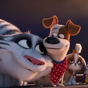 Fotoğraf Evcil Hayvanların Gizli Yaşamı 2