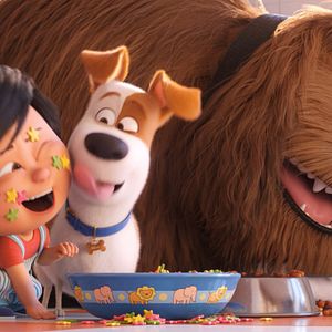 Fotoğraf Evcil Hayvanların Gizli Yaşamı 2