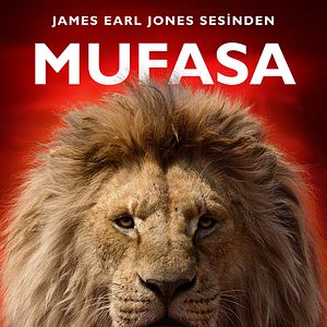 Fotoğraf Aslan Kral