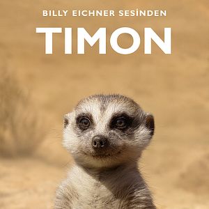 Fotoğraf Aslan Kral