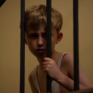 Fotoğraf Tell It To The Bees