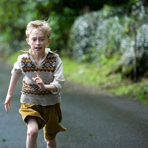 Fotoğraf Tell It To The Bees