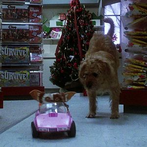 Fotoğraf Gremlinler