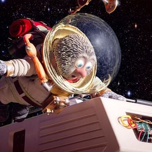 Fotoğraf Kirpi ve Saksağan: Sevimli Uzay Kahramanları