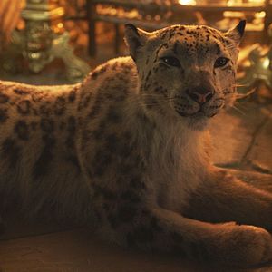 Fotoğraf His Dark Materials