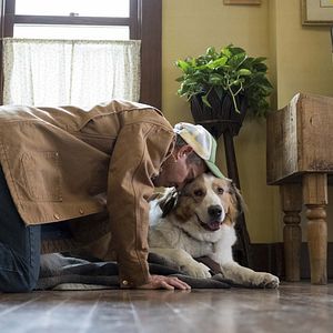 Fotoğraf Dennis Quaid