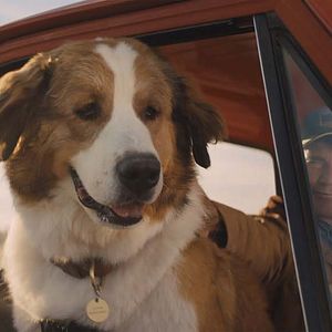 Fotoğraf Dostumun Yolculuğu