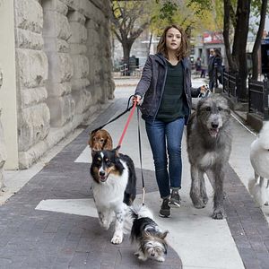 Fotoğraf Dostumun Yolculuğu