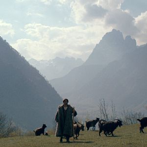 Fotoğraf Arben Bajraktaraj