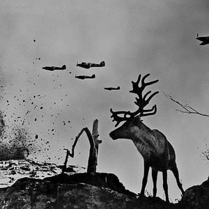 Fotoğraf Boyalı Kuş