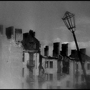 Fotoğraf Boyalı Kuş