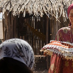 Fotoğraf Göç Mevsimi