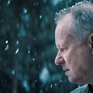 Fotoğraf Ut og stjæle hester