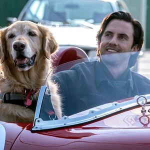 Fotoğraf Enzo: Yağmurda Yarış Sanatı