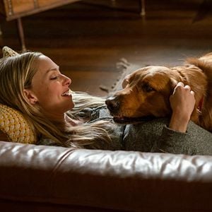 Fotoğraf Enzo: Yağmurda Yarış Sanatı