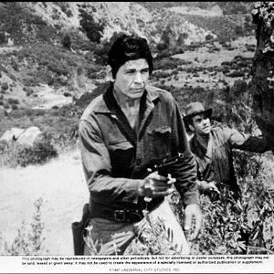 Fotoğraf Charles Bronson