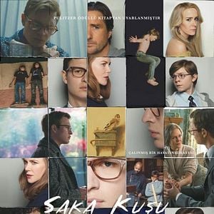 Fotoğraf Saka Kuşu