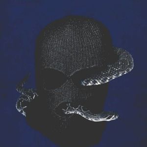 Fotoğraf Çıngıraklı Yılan