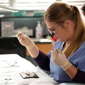 Fotoğraf Jaicy Elliot