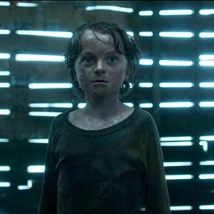 Fotoğraf In the Tall Grass