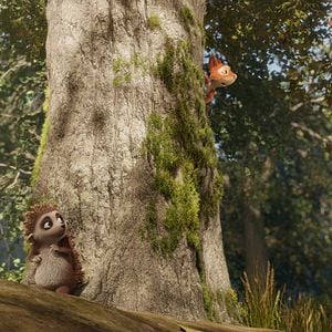 Fotoğraf Kirpi Latte ve Büyülü Taş