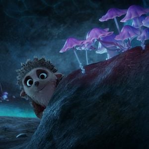 Fotoğraf Kirpi Latte ve Büyülü Taş