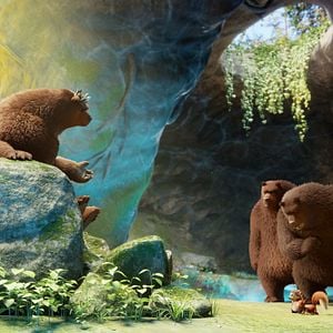 Fotoğraf Kirpi Latte ve Büyülü Taş