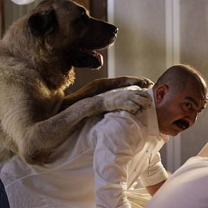 Fotoğraf Aman Reis Duymasın